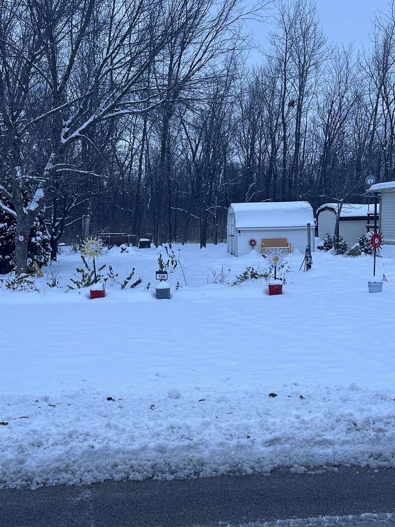 124 Tully Road Wilmington, IL 60481 - Photo 3 of 31 a view of a fire pit with large trees
