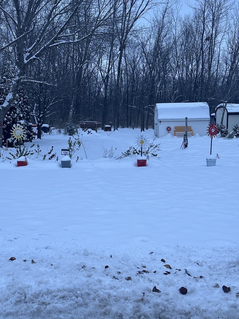 124 Tully Road Wilmington, IL 60481 - Photo 4 of 31 a view of backyard with a table and chairs