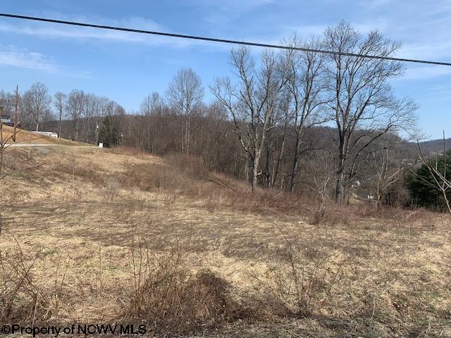 Tbd Rohrbough Street Belington, WV 26250 - Photo 1 of 20 Gallery Image 1