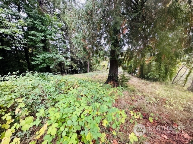 2 West Sherman Heights Road Bremerton, WA 98312 - Photo 6 of 13 a view of outdoor space with a tree
