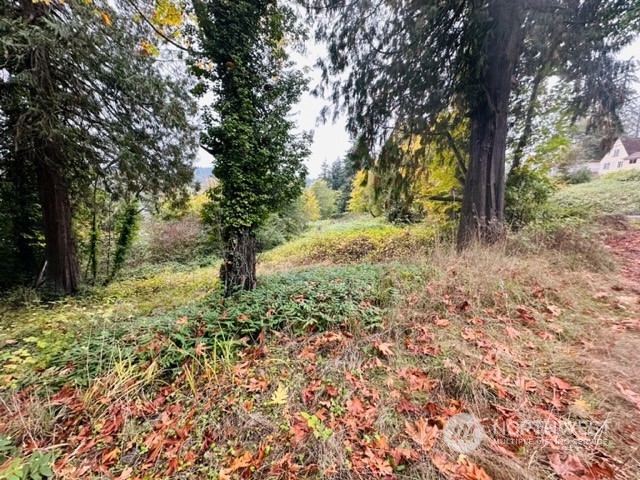 2 West Sherman Heights Road Bremerton, WA 98312 - Photo 8 of 13 a big yard with lots of green space and house in the back