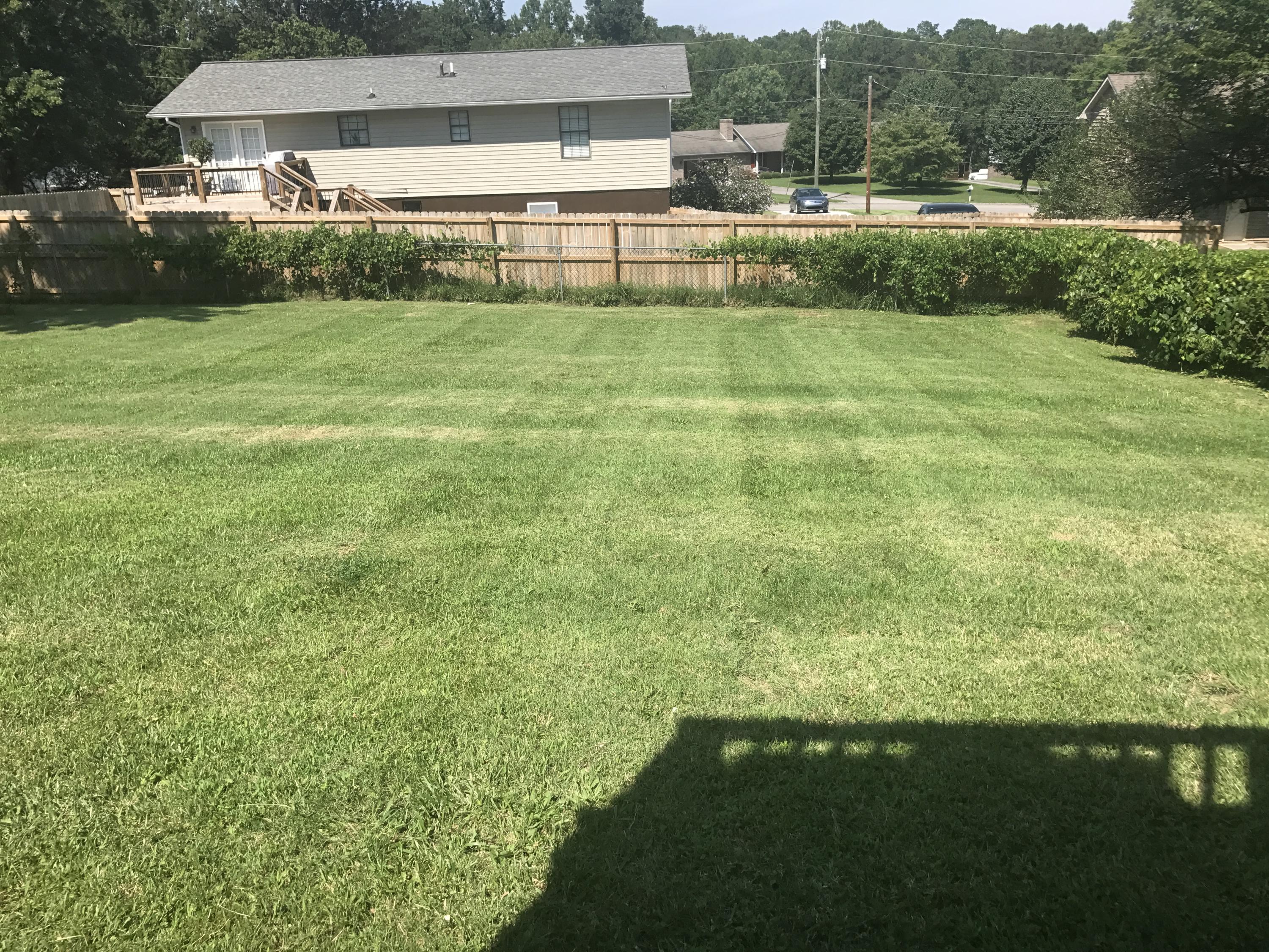8012 Little Joe Road Powell, TN 37849 - Photo 18 of 25 24