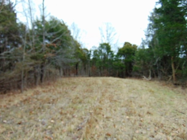 10655 Georgetown Road Owenton, KY 40359 - Photo 19 of 37 Gallery Image 19