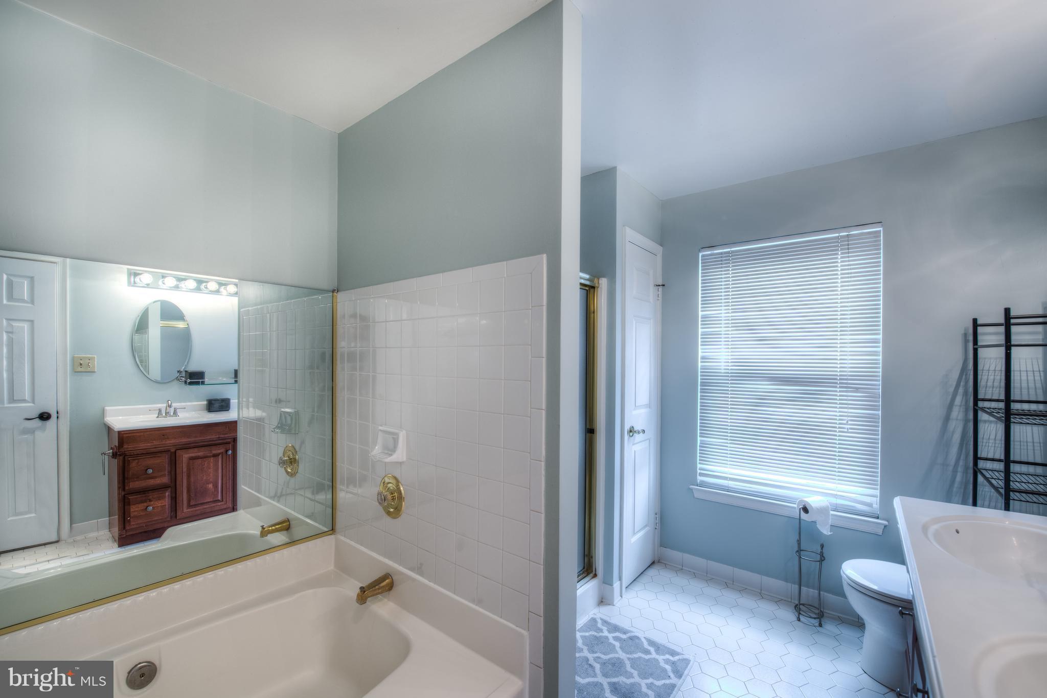 21055 Semblance Drive Sterling, VA 20164 - Photo 11 of 29 Bath (Master)