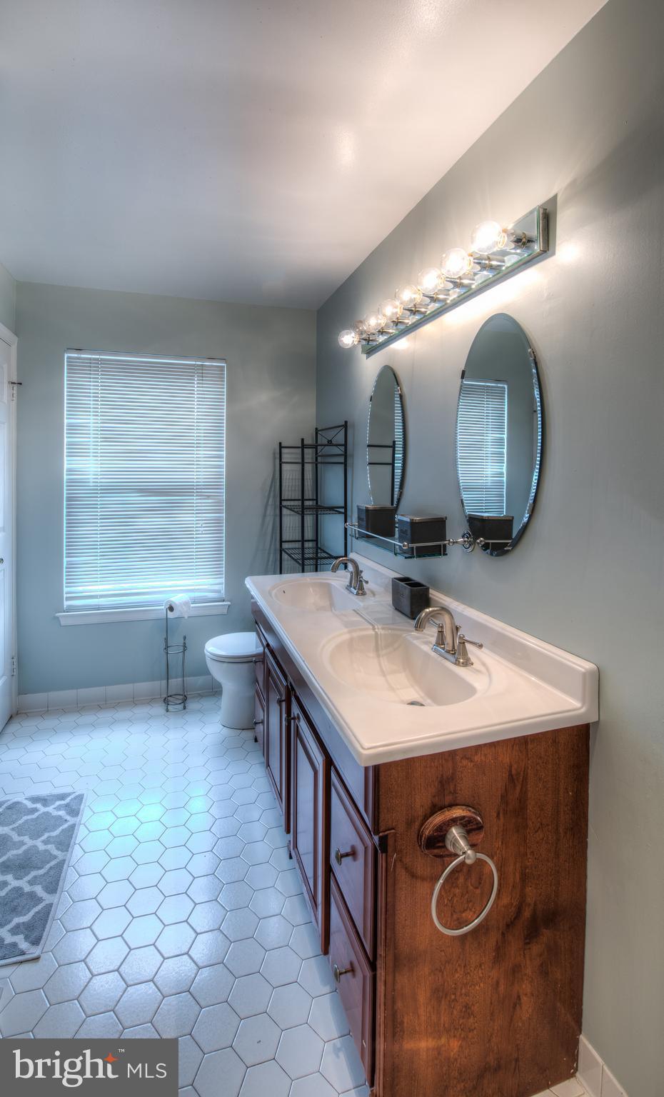 21055 Semblance Drive Sterling, VA 20164 - Photo 13 of 29 Bath (Master)