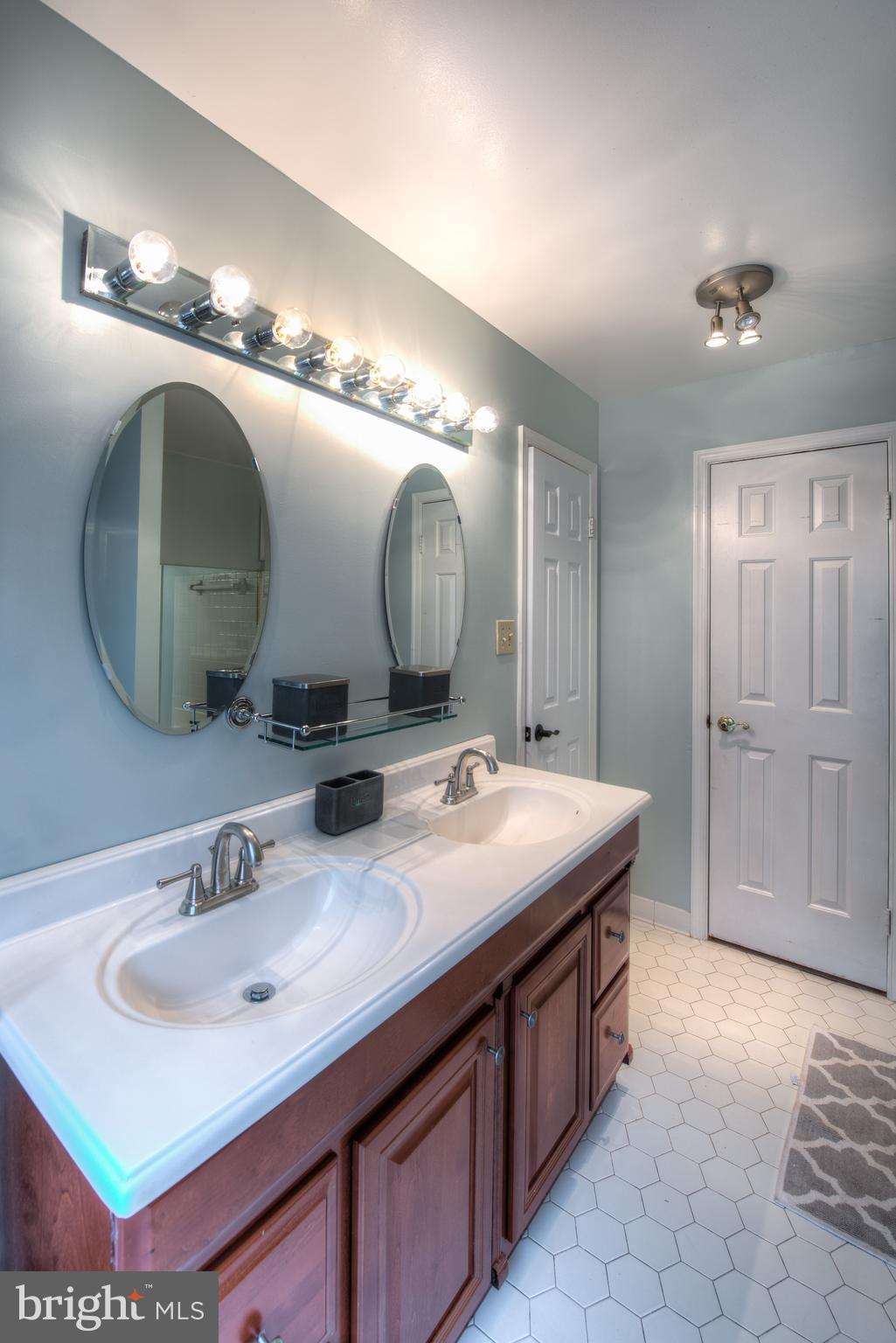 21055 Semblance Drive Sterling, VA 20164 - Photo 18 of 29 Bath (Master)