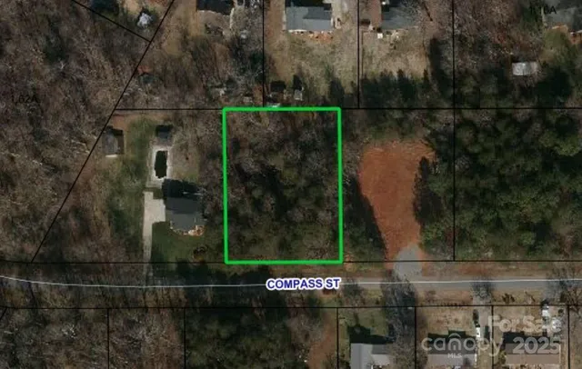 a view of a forest with a tree