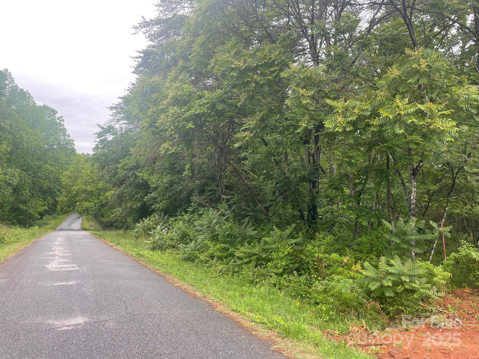 2488 Compass Street Conover, NC 28613 - Photo 2 of 6 a view of a forest with a tree