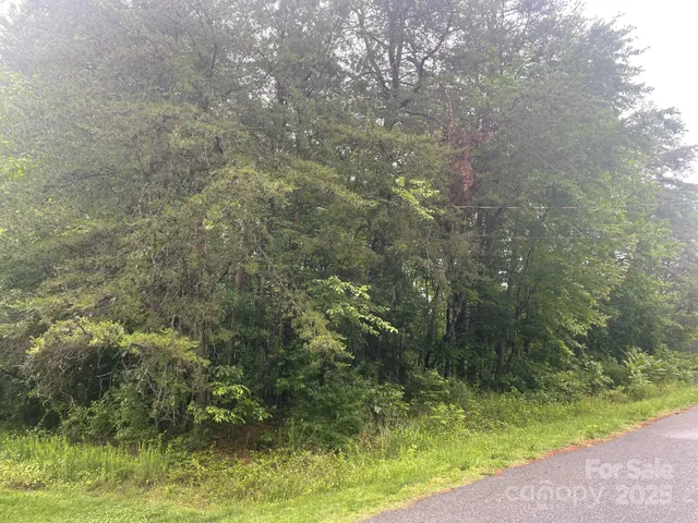 a view of a road with a yard