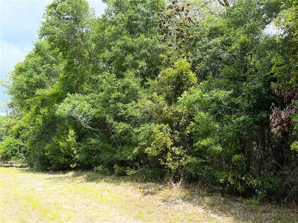 $35,000 | 0 Northwest 70th Circle, Chiefland, FL 32626