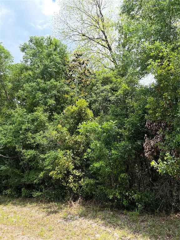 0 Northwest 70th Circle Chiefland, FL 32626 - Photo 2 of 7