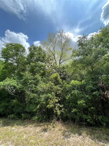 $35,000 | 0 Northwest 70th Circle, Chiefland, FL 32626