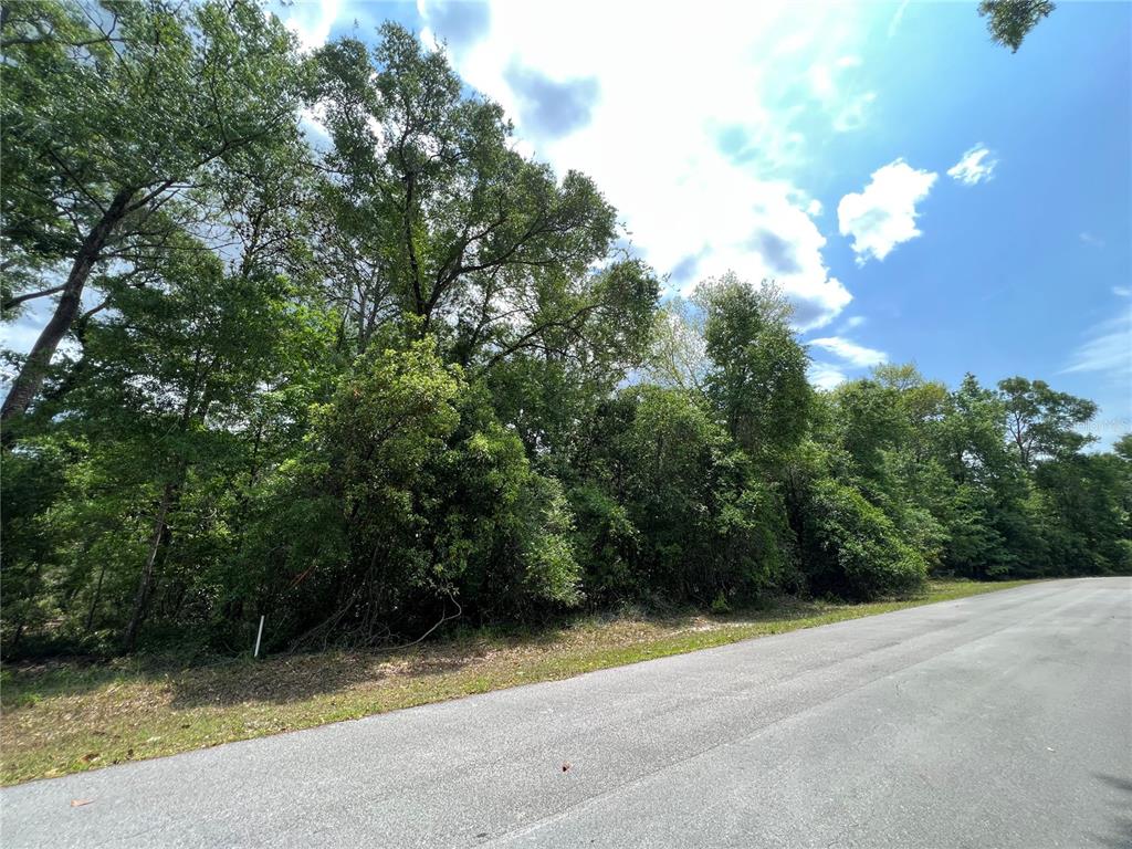 0 Northwest 70th Circle Chiefland, FL 32626 - Photo 6 of 7