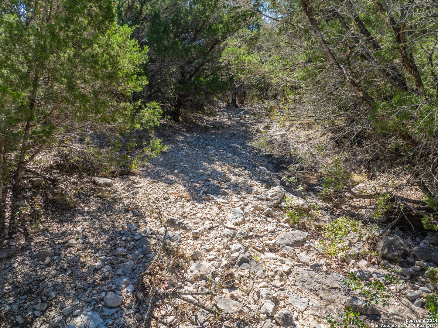 85 New Leona Ranch Brackettville, TX 78832 - Photo 17 of 26