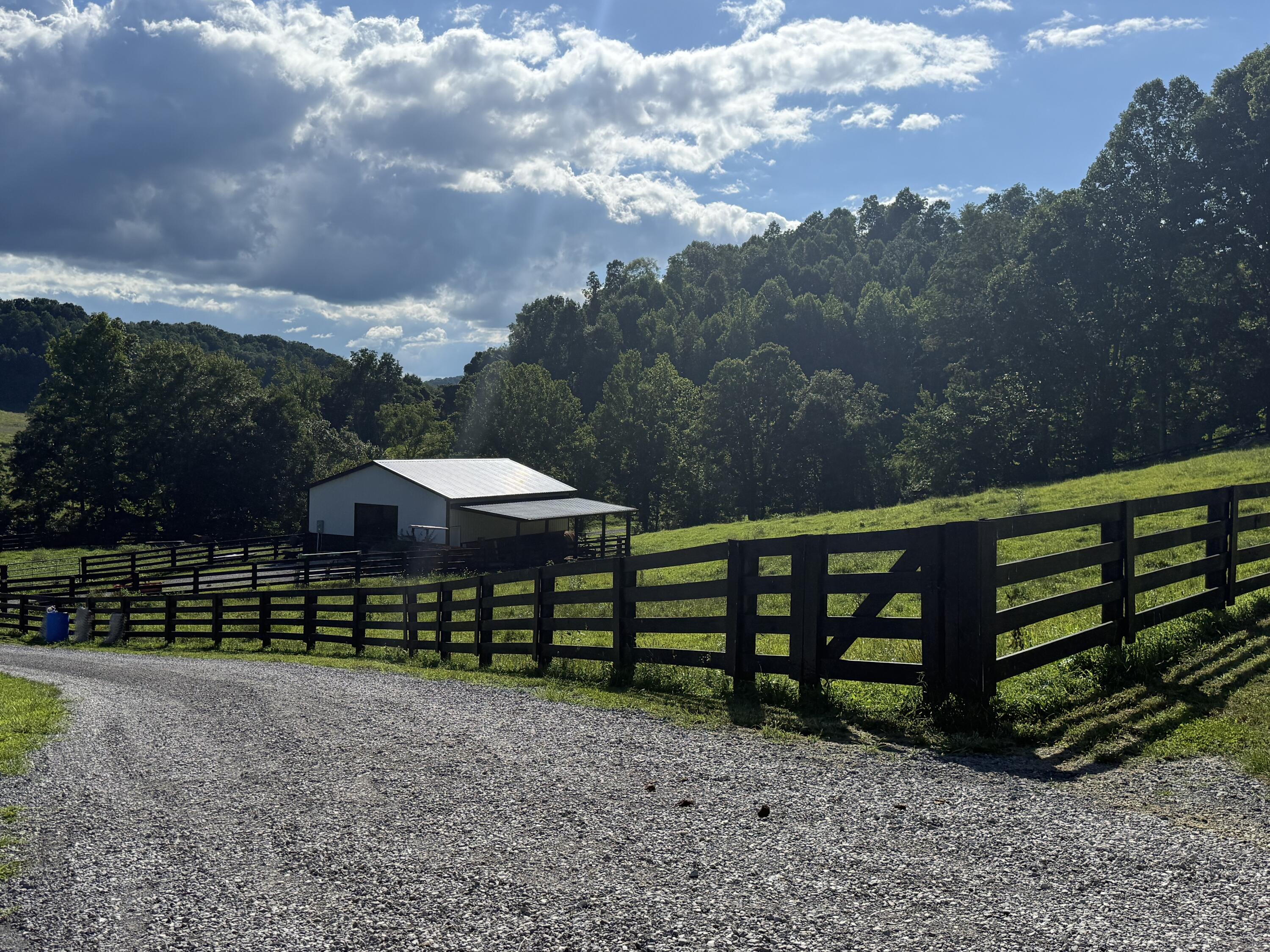 775 Powell Branch Road Bimble, KY 40915 - Photo 8 of 16 IMG_8916