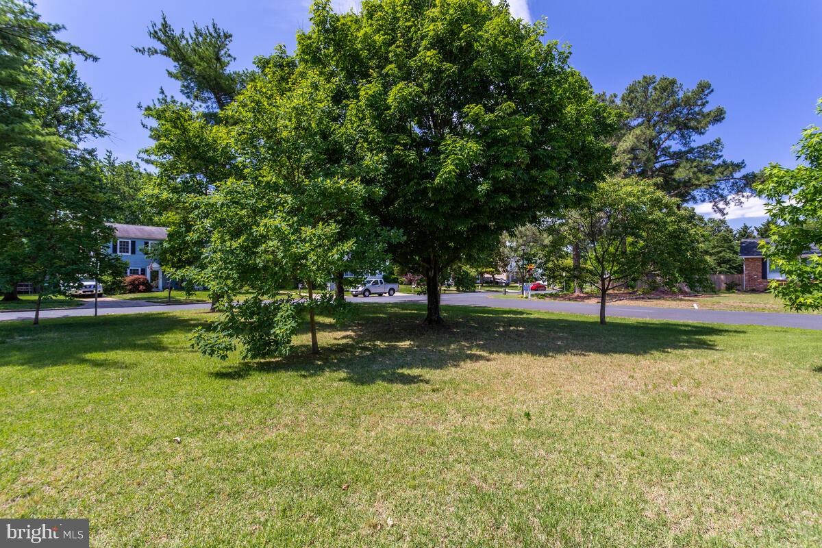 370 River Road Arnold, MD 21012 - Photo 11 of 33 Gallery Image 11