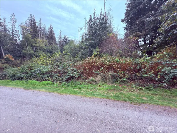 a view of a yard with a tree