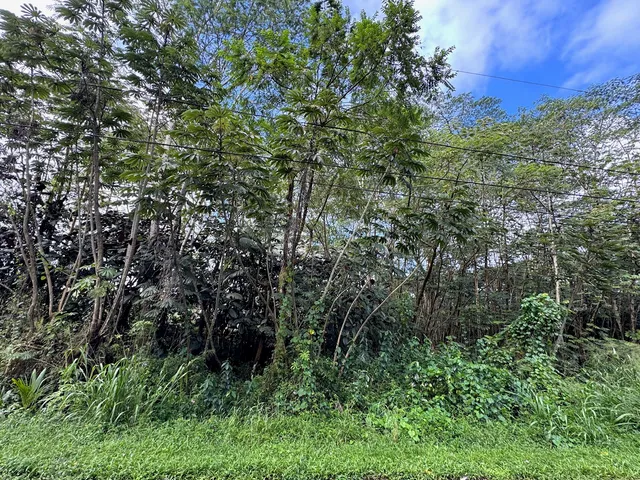$9,000 | 1103 Lot, Pahoa, HI 96778