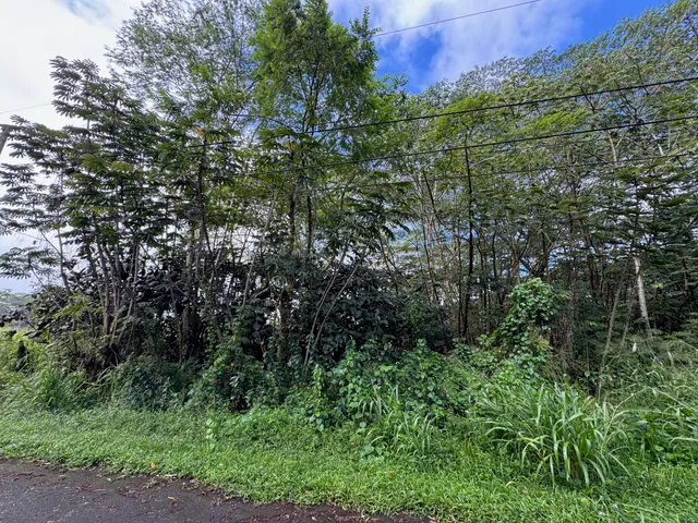 $9,000 | 1103 Lot, Pahoa, HI 96778