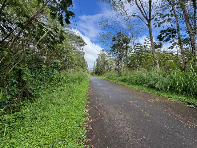 $9,000 | 1103 Lot, Pahoa, HI 96778