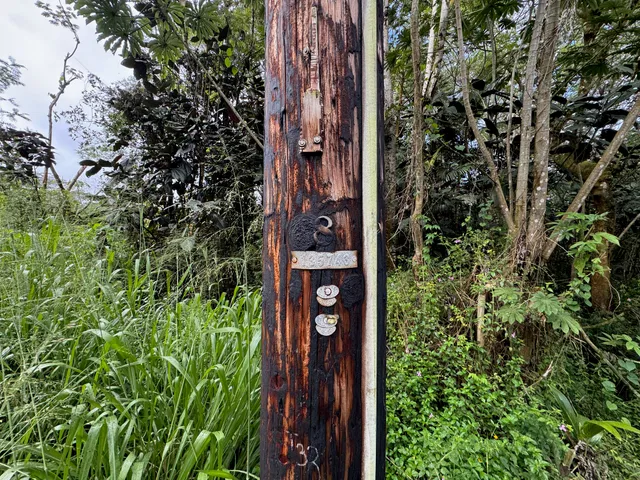 $9,000 | 1103 Lot, Pahoa, HI 96778