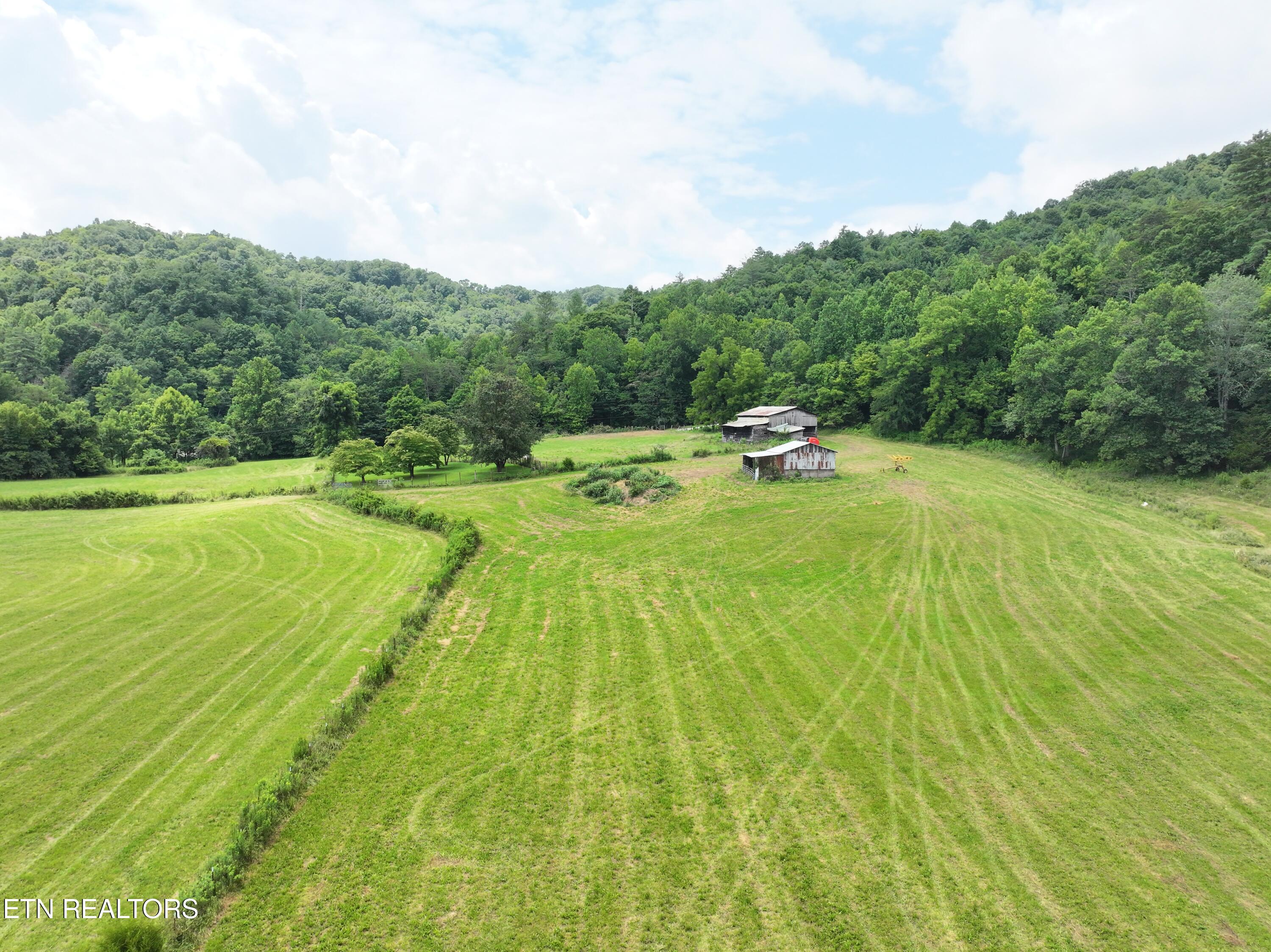 7914 Brimstone Road Robbins, TN 37852 - Photo 52 of 57 dji_fly_20260709_092450_0824_17836841125