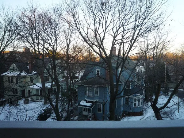 a front view of a house with trees