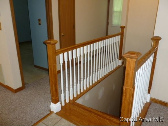 817 Diane Court Springfield, IL 62702 - Photo 20 of 22