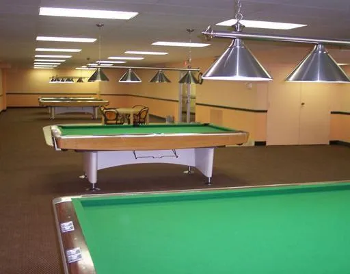a view of a patio with couches and a potted plant