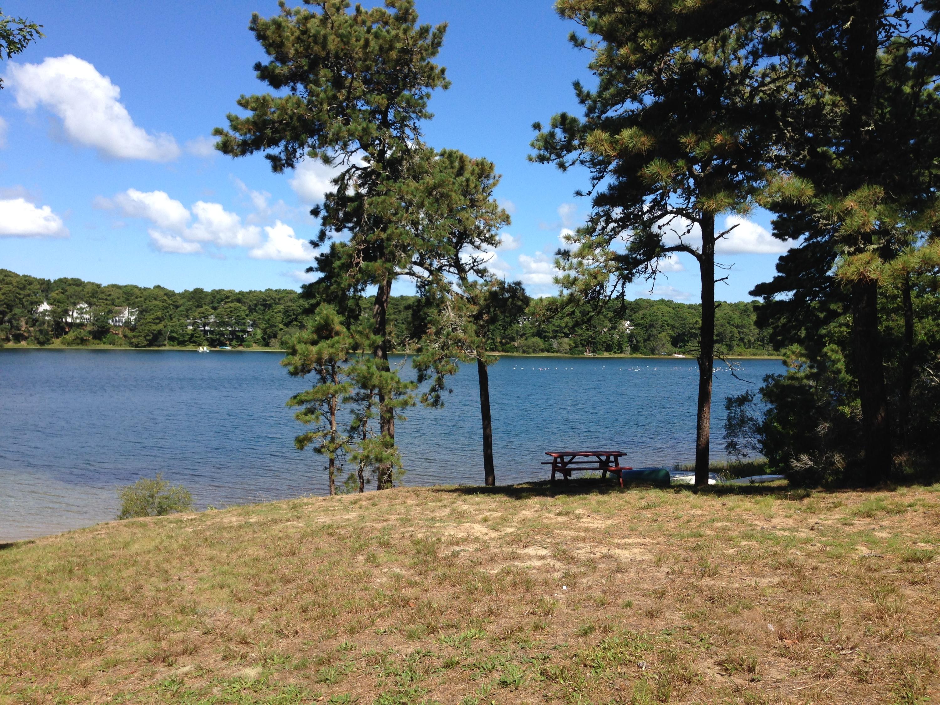 1340 Main Street, Unit 9 Chatham, MA 02633 - Photo 12 of 14 Picnic Area