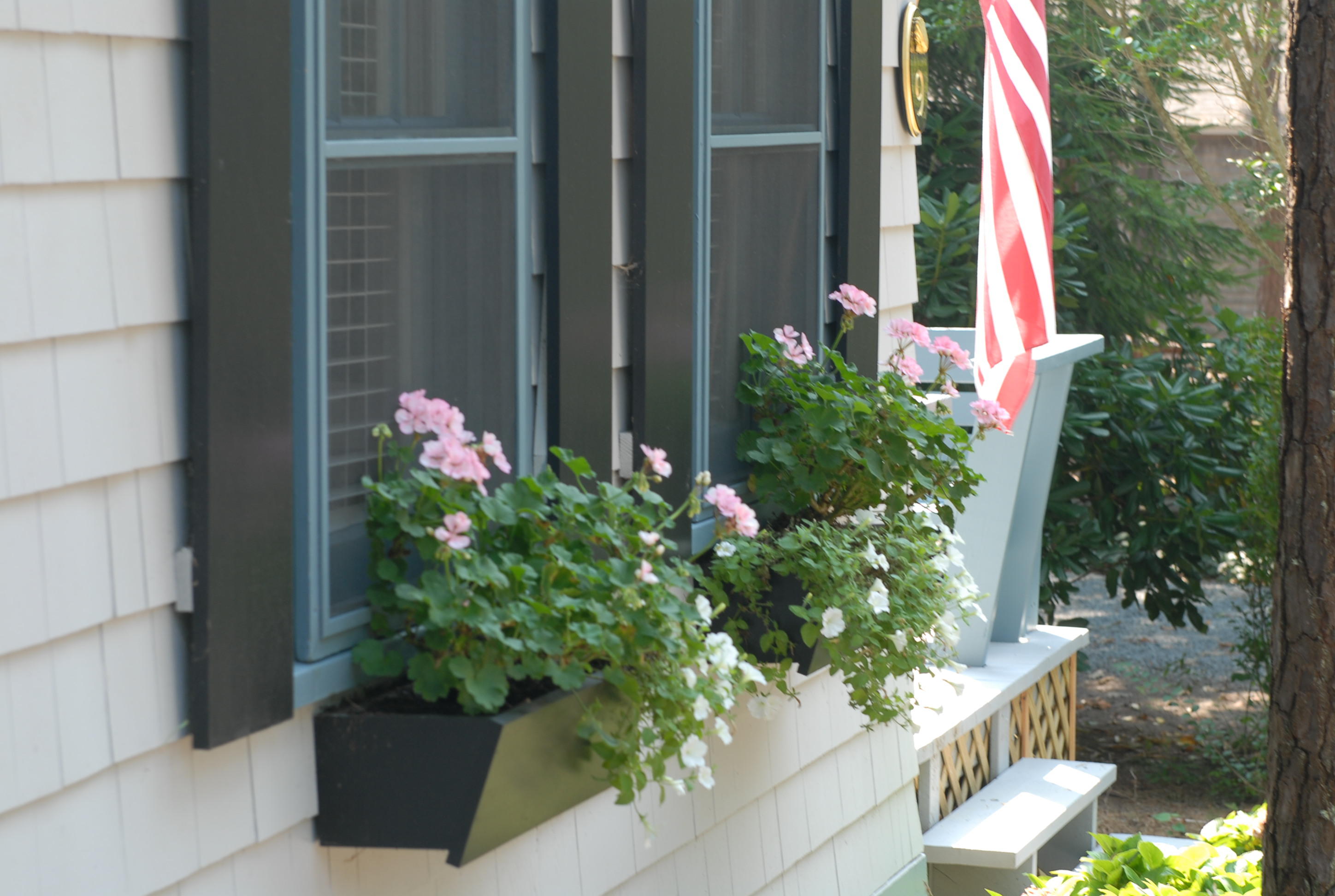 1340 Main Street, Unit 9 Chatham, MA 02633 - Photo 14 of 14 window flower boxes