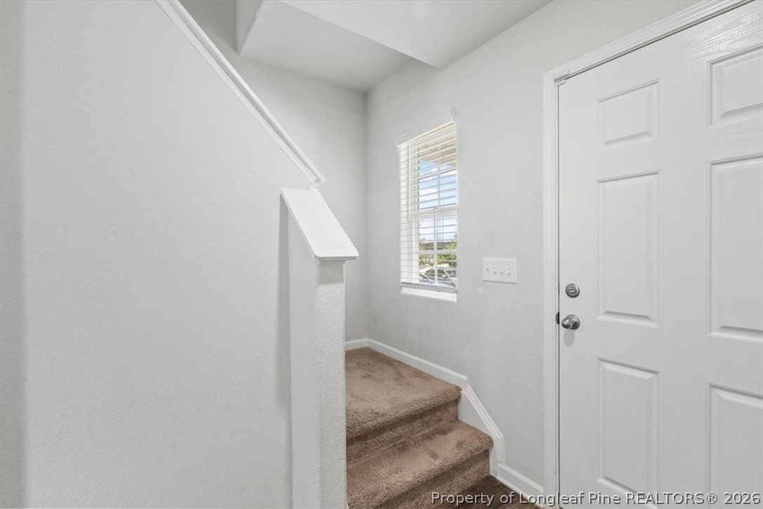 344 Rustling Way Zebulon, NC 27597 - Photo 33 of 50