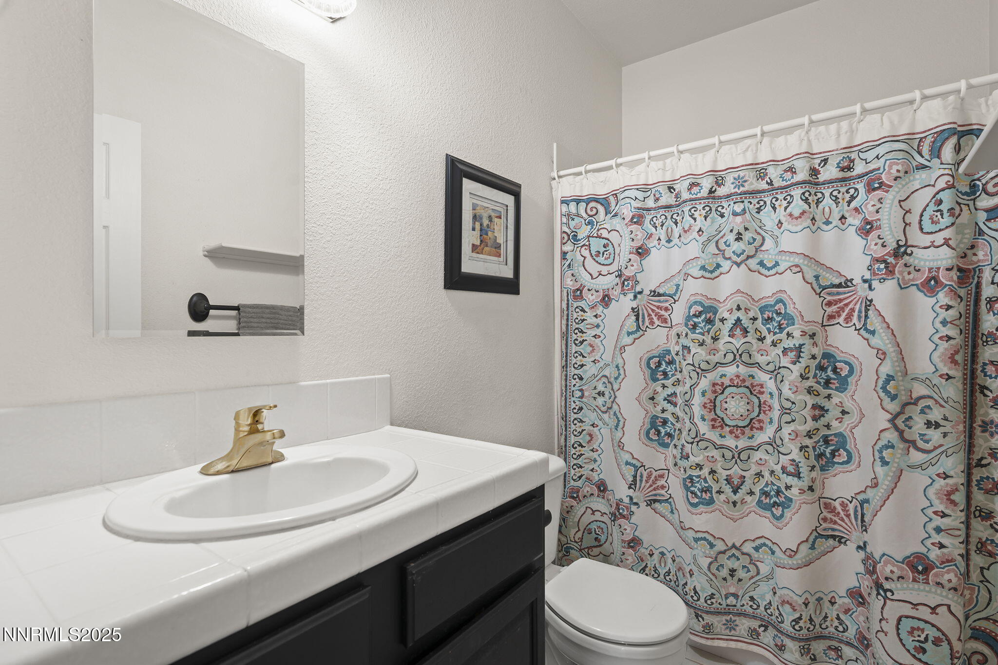 1030 Haystack Drive Carson City, NV 89705 - Photo 18 of 24 a bathroom with a sink toilet and a mirror