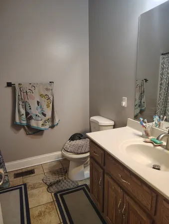 a bathroom with a sink toilet and vanity