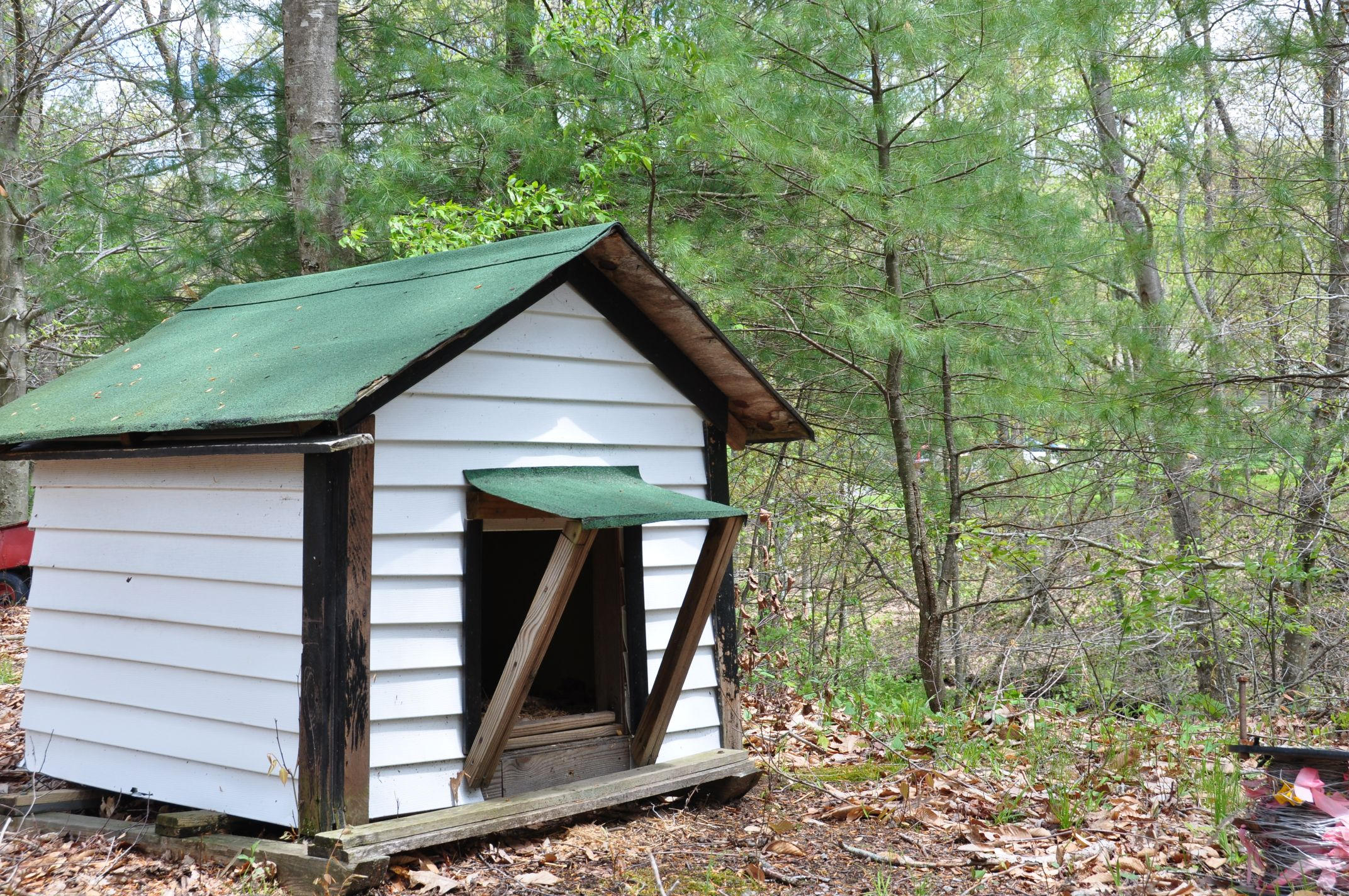 100 Cold Hollow Road Rainelle, WV 25962 - Photo 13 of 39 Gallery Image 13