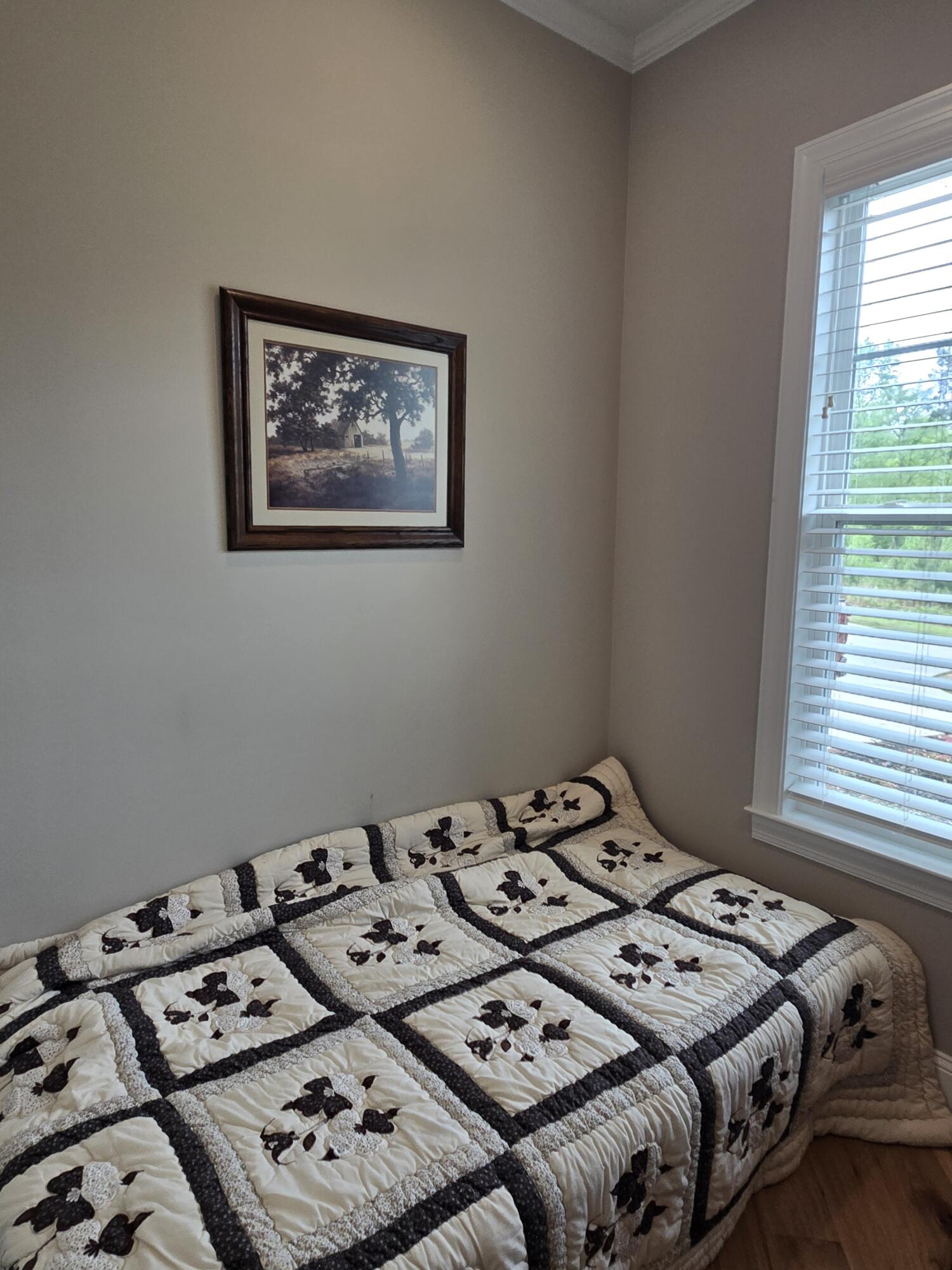 1010 Nautical Point Lincolnton, GA 30817 - Photo 27 of 36 20260406_112819_resized