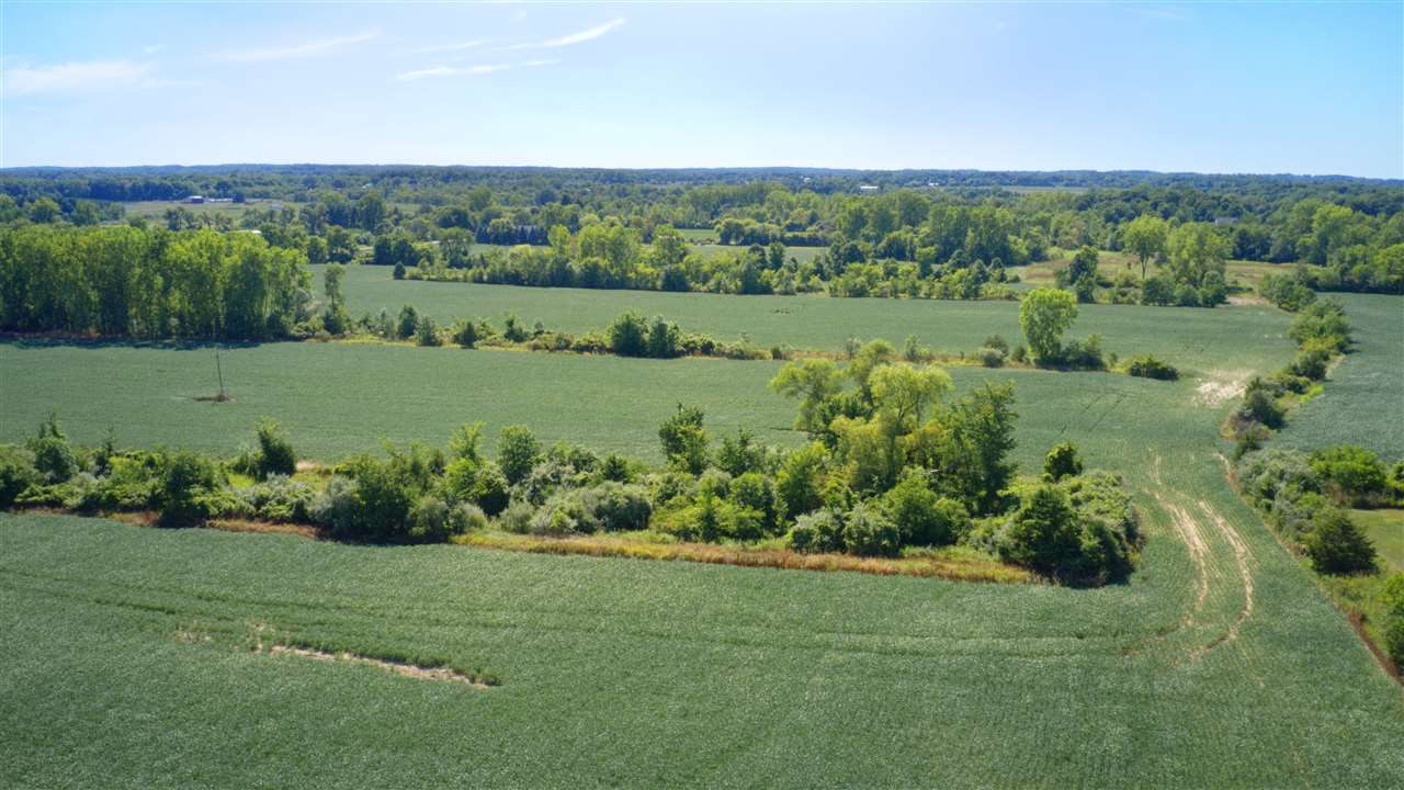 8000 Slee Road, Unit PARCEL B Onsted, MI 49265 - Photo 6 of 21 Photo 6