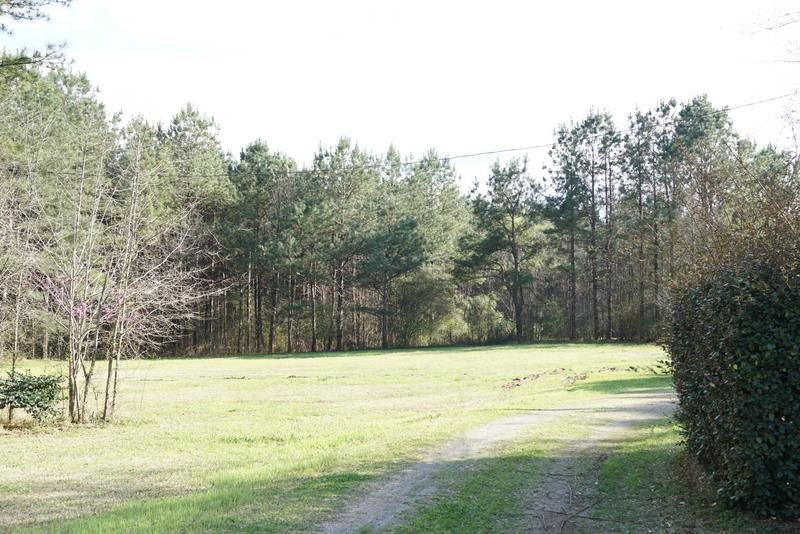 1245 Spring Water Ranch Road Mendenhall, MS 39114 - Photo 36 of 50 Photo 36