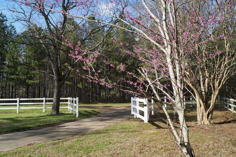 1245 Spring Water Ranch Road Mendenhall, MS 39114 - Photo 49 of 50 Photo 49