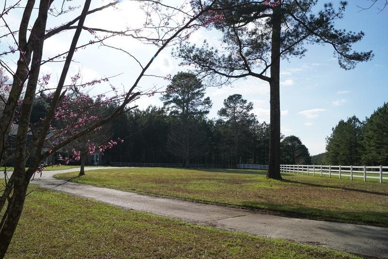 1245 Spring Water Ranch Road Mendenhall, MS 39114 - Photo 50 of 50 Photo 50