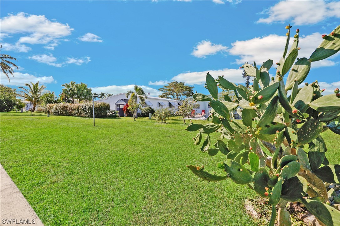 26255 Colony Road Bonita Springs, FL 34135 - Photo 27 of 30 Gallery Image 27
