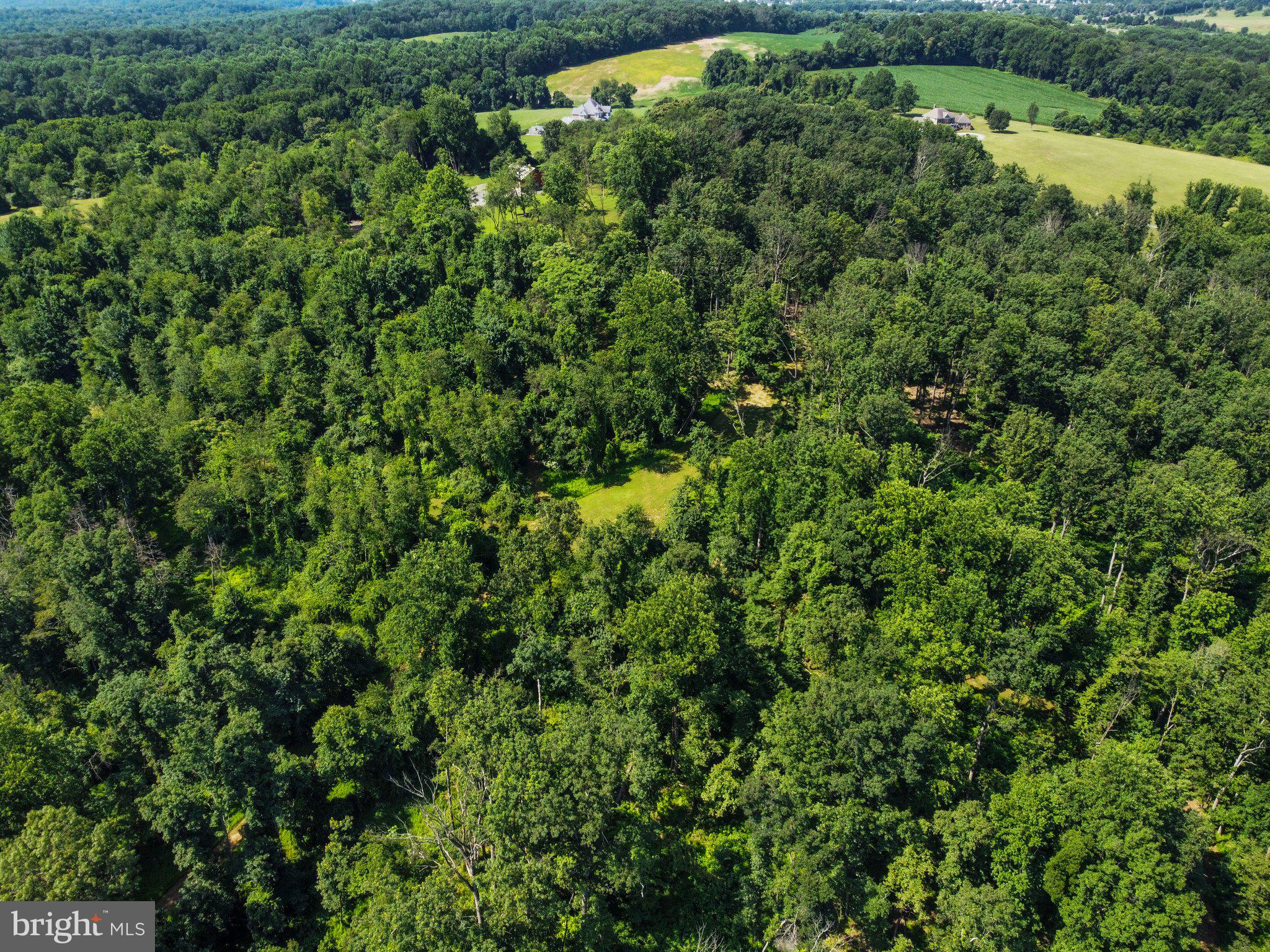 22015 Wildcat Road Germantown, MD 20876 - Photo 22 of 29