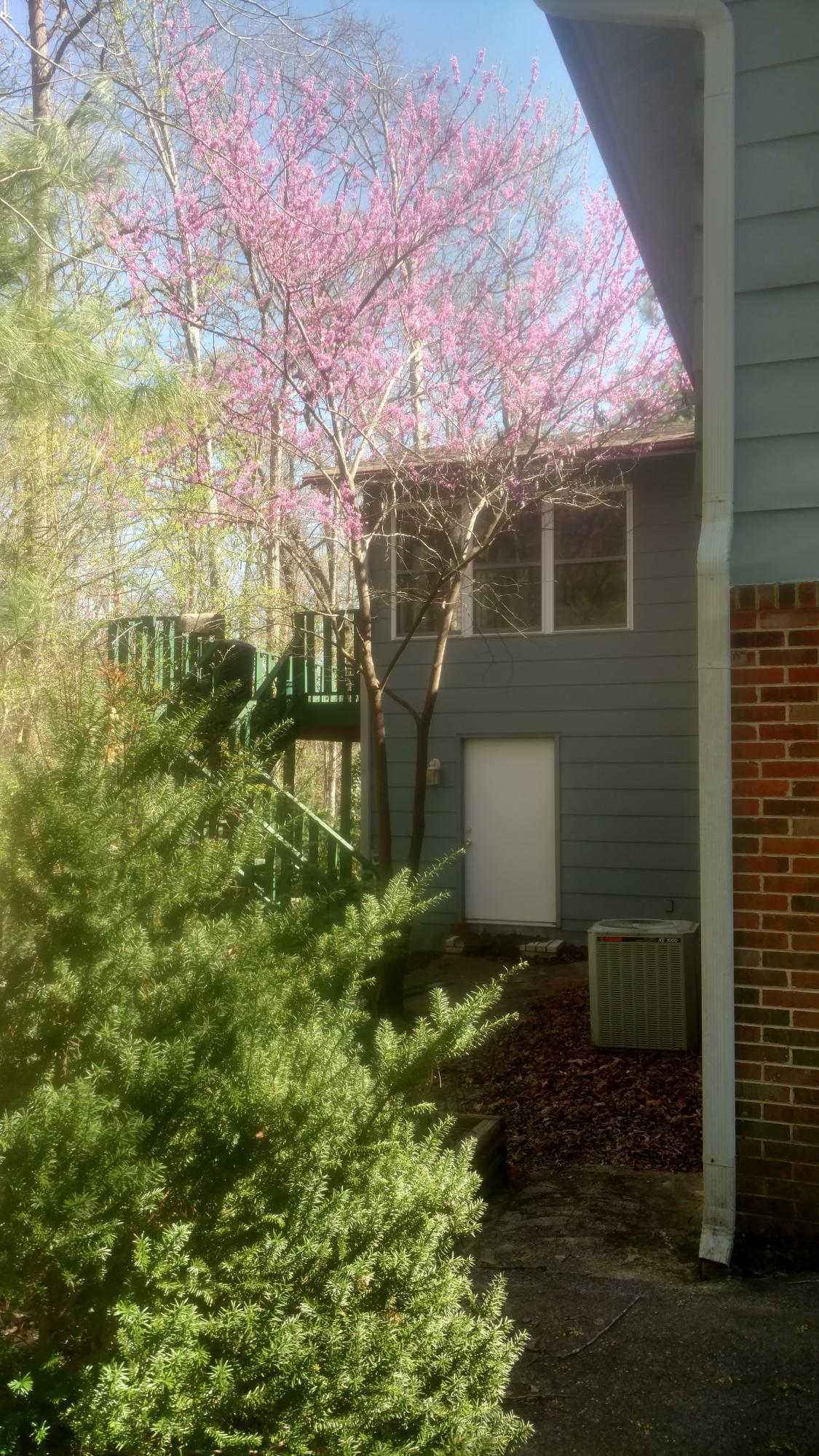 124 Newhaven Road Oak Ridge, TN 37830 - Photo 11 of 12 IMG_20170402_153400607_HDR