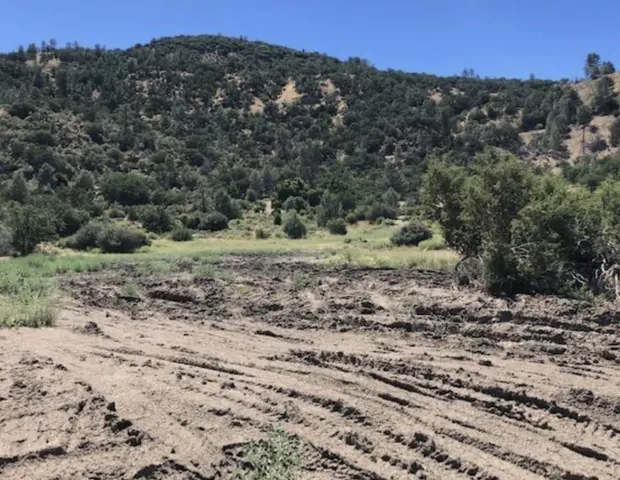a view of a dry yard with trees in the background