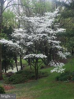 423 Garrison Road Elmer, NJ 08318 - Photo 4 of 49