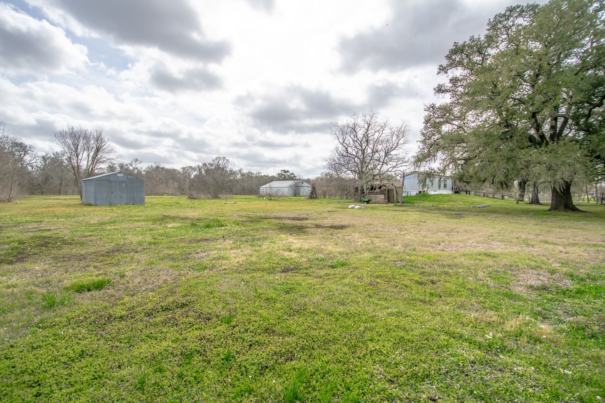 2801 County Road 444 Angleton, TX 77515 - Photo 26 of 37 a view of a big yard with plants and large trees