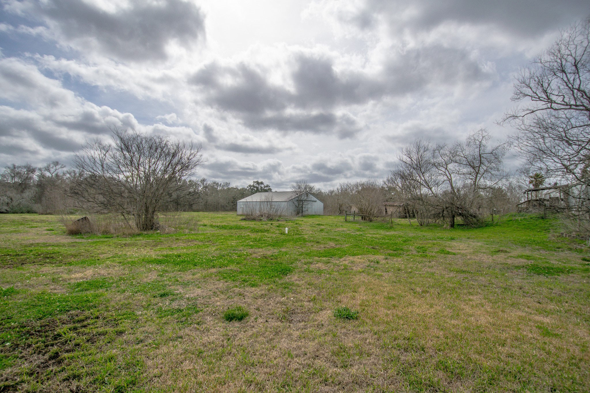 2801 County Road 444 Angleton, TX 77515 - Photo 28 of 38 a view of a big yard with large trees