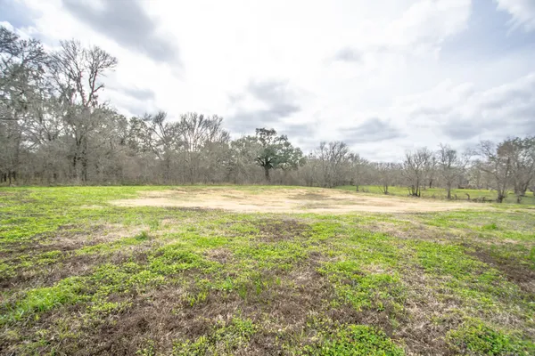a view of a field with an ocean