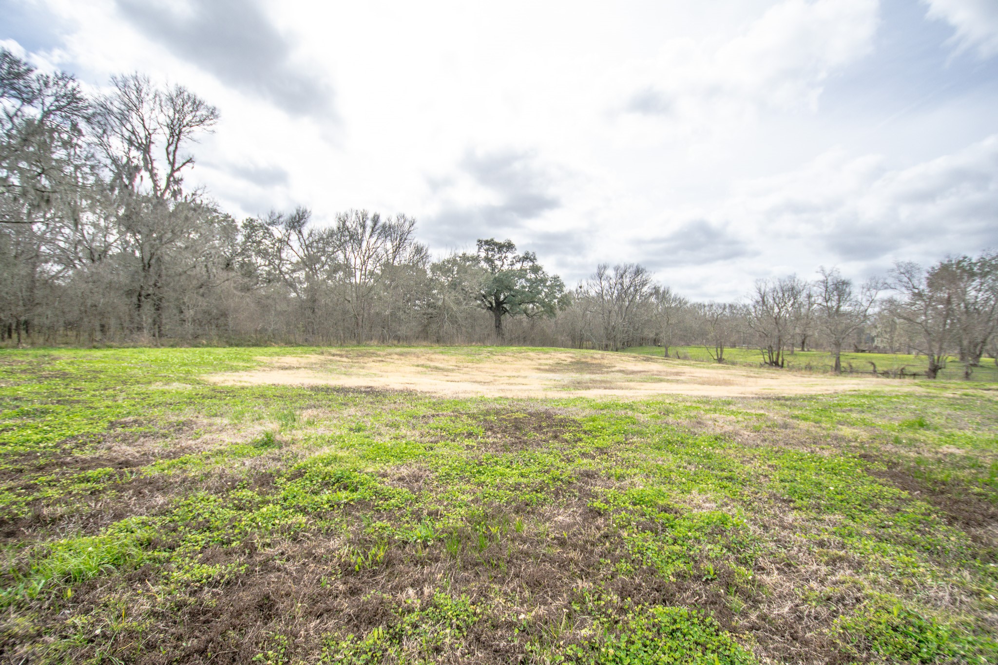 2801 County Road 444 Angleton, TX 77515 - Photo 31 of 38 a view of a large pool with an outdoor space