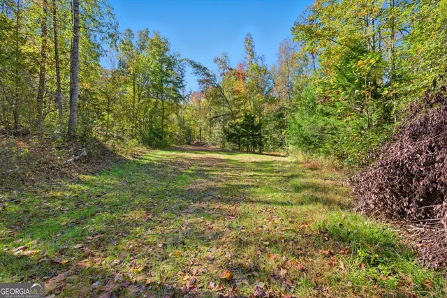 a view of outdoor space with trees all around